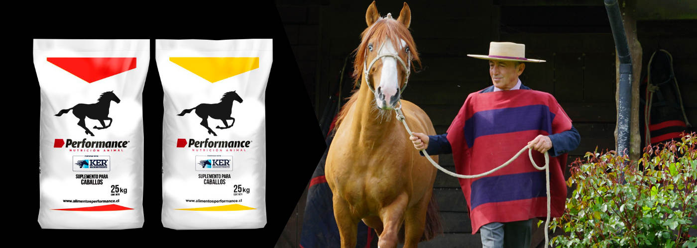 banner performance-caballo-v92