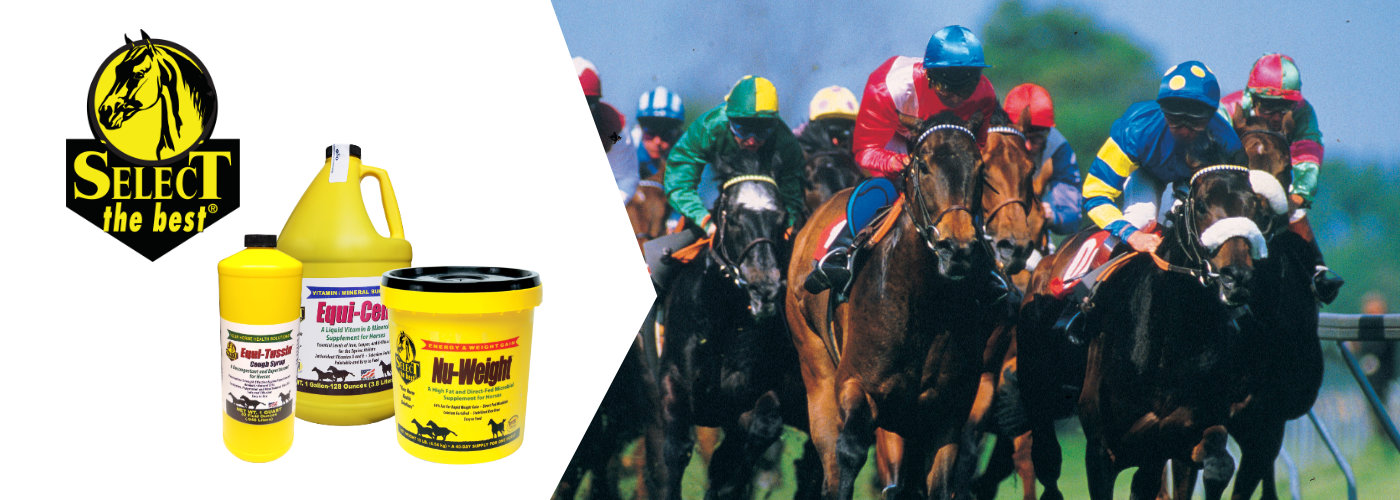 banner performance-caballo-v92