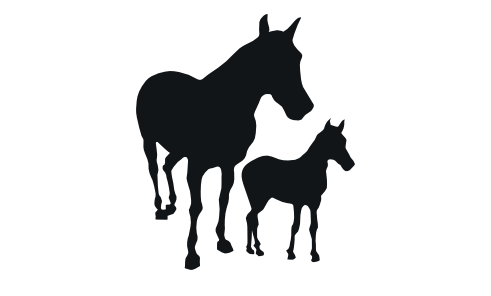 crianza icon