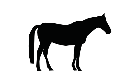 sweet feed-icon