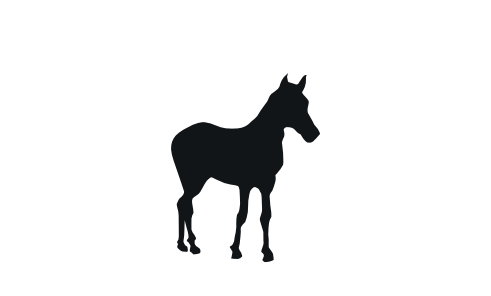 potrillo icon