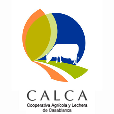Calca