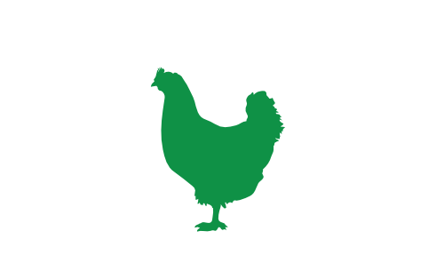 gallina icon